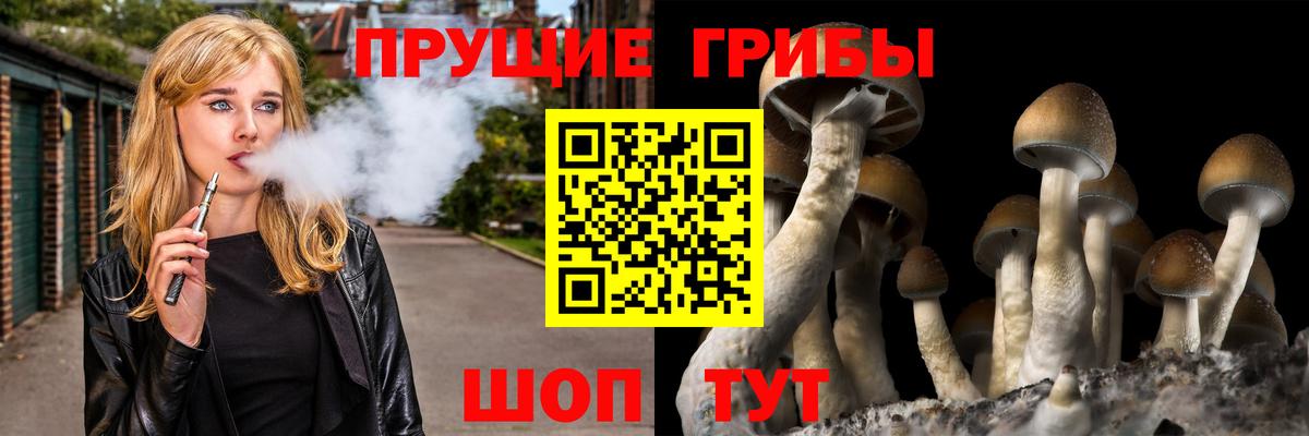 Псилоцибиновые грибы Cubensis  Вход с VPN  Партизанск 